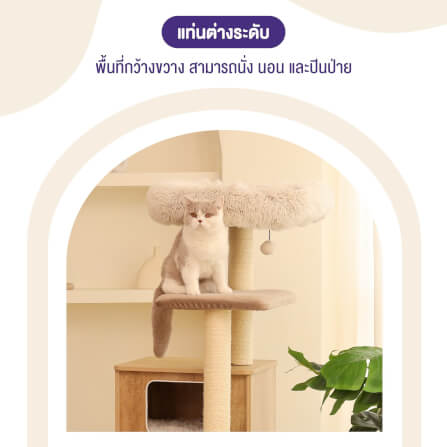 คอนโดแมว Catry รุ่น Cat Tree Casio สีเทา_4